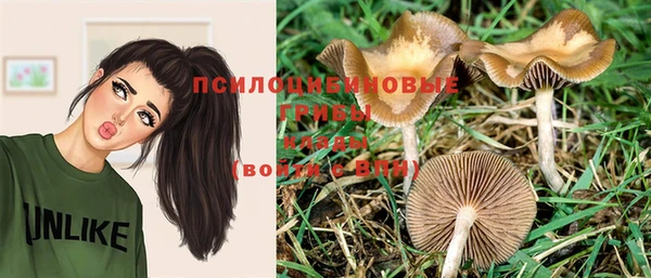 ALPHA PVP Вяземский