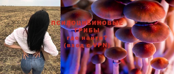 кристаллы Вязьма